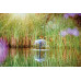 Sūknis Aquarius Fountain Set Classic 2000 E